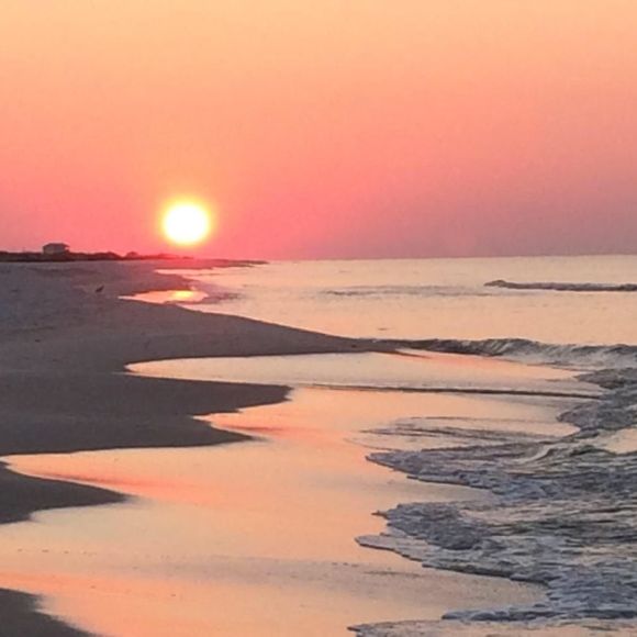 Meet your Posher, Lora - Picture 1 of 1